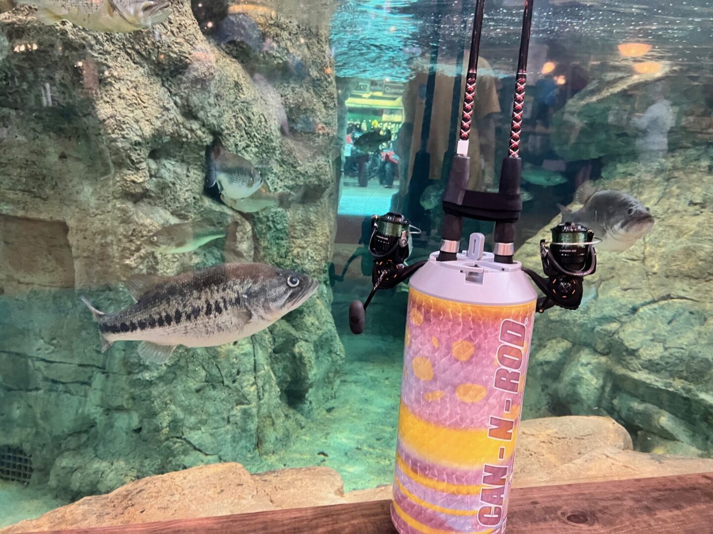 A fish swimming in an aquarium next to a bottle of water.