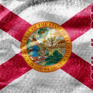 Florida Flag Skin