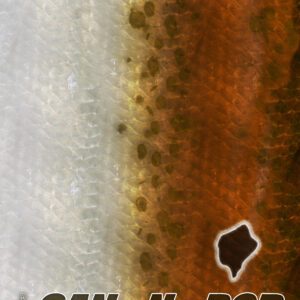 Redfish Skin