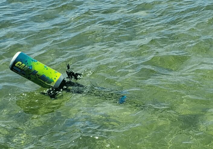 A person in the water with a surfboard.